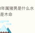 83年属猪男是什么水 83年属猪到底是木命