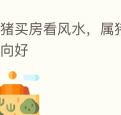属猪买房看风水，属猪买房哪个方向好