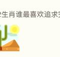 12生肖谁最喜欢追求完美
