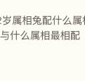 32岁属相兔配什么属相好,属兔人的与什么属相最相配