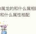 88属龙的和什么属相配,88年属龙的和什么属性相配