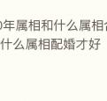 80年属相和什么属相合婚,属马的和什么属相配婚才好