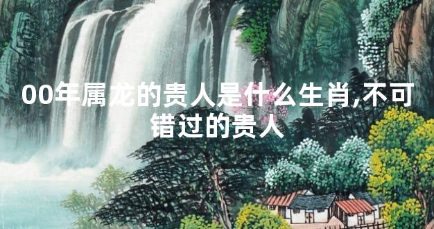 00年属龙的贵人是什么生肖,不可错过的贵人
