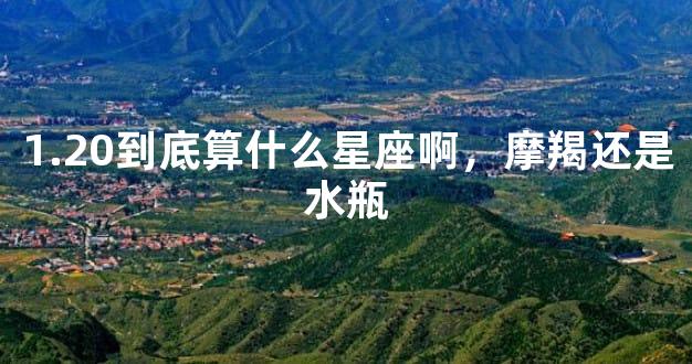 1.20到底算什么星座啊，摩羯还是水瓶