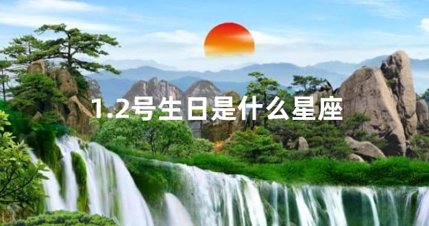 1.2号生日是什么星座