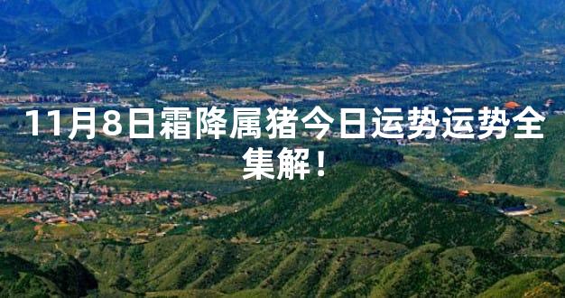 11月8日霜降属猪今日运势运势全集解！