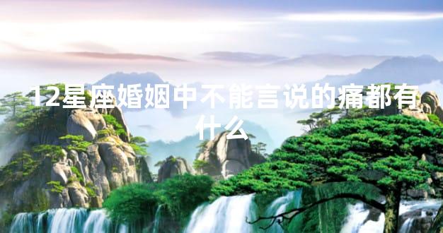 12星座婚姻中不能言说的痛都有什么