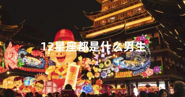 12星座都是什么男生