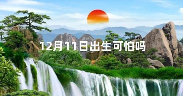 12月11日出生可怕吗