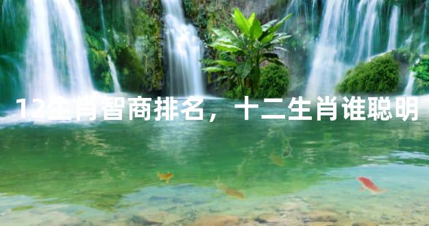 12生肖智商排名，十二生肖谁聪明