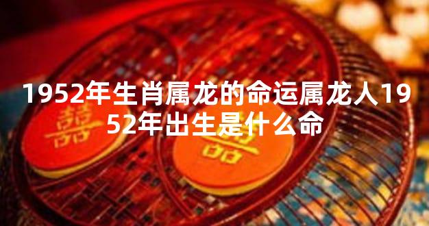 1952年生肖属龙的命运属龙人1952年出生是什么命