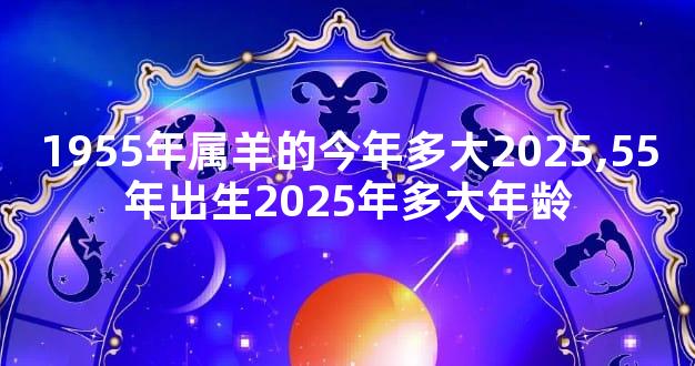 1955年属羊的今年多大2025,55年出生2025年多大年龄