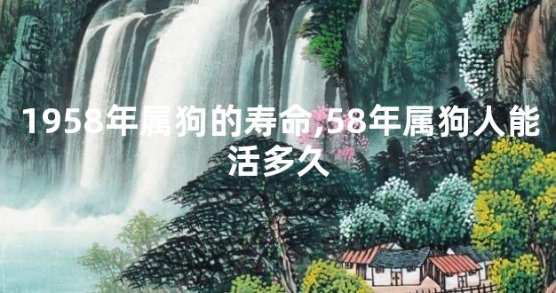 1958年属狗的寿命,58年属狗人能活多久