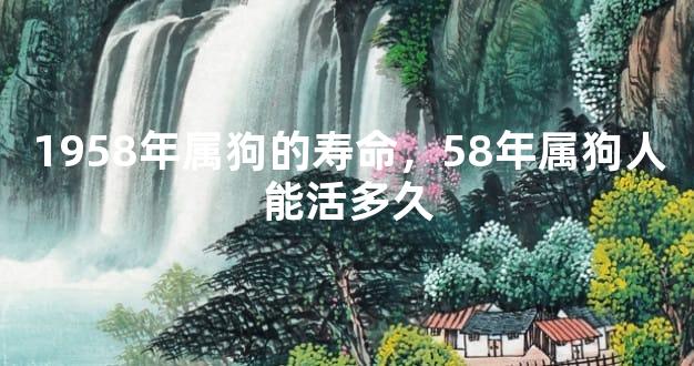 1958年属狗的寿命，58年属狗人能活多久