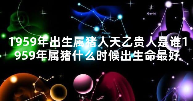1959年出生属猪人天乙贵人是谁1959年属猪什么时候出生命最好