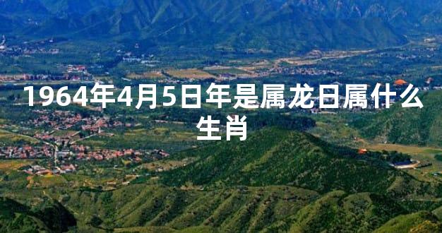 1964年4月5日年是属龙日属什么生肖