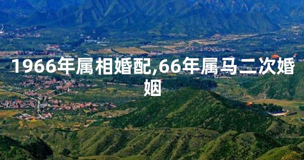 1966年属相婚配,66年属马二次婚姻
