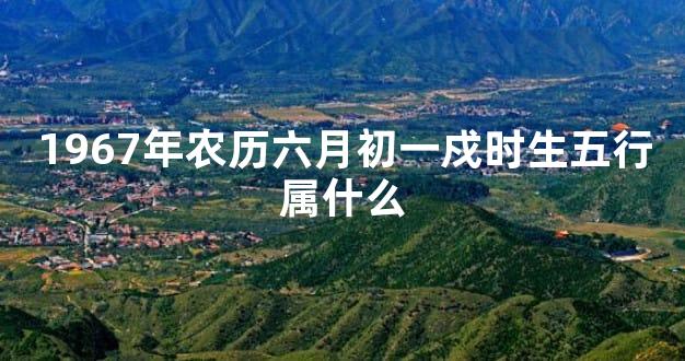 1967年农历六月初一戍时生五行属什么
