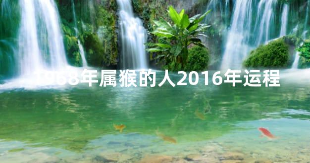 1968年属猴的人2016年运程