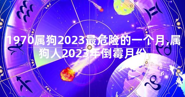 1970属狗2023最危险的一个月,属狗人2023年倒霉月份