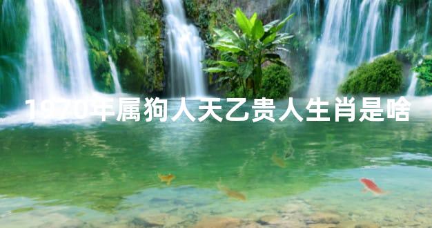 1970年属狗人天乙贵人生肖是啥