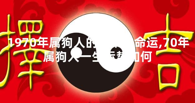 1970年属狗人的后半生命运,70年属狗人一生运势如何