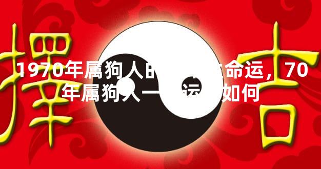 1970年属狗人的后半生命运，70年属狗人一生运势如何
