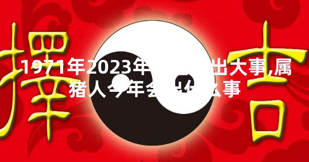 1971年2023年属猪要出大事,属猪人今年会出什么事