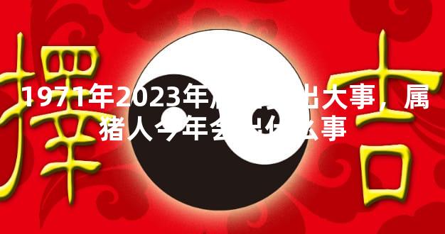 1971年2023年属猪要出大事，属猪人今年会出什么事