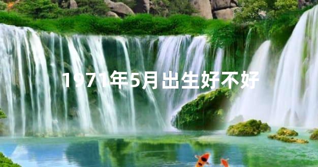 1971年5月出生好不好