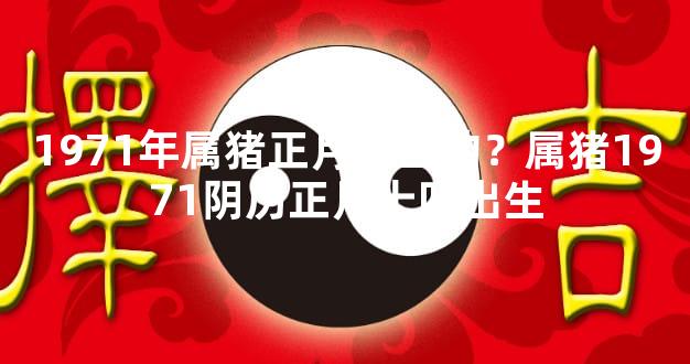 1971年属猪正月十四的？属猪1971阴历正月十四出生
