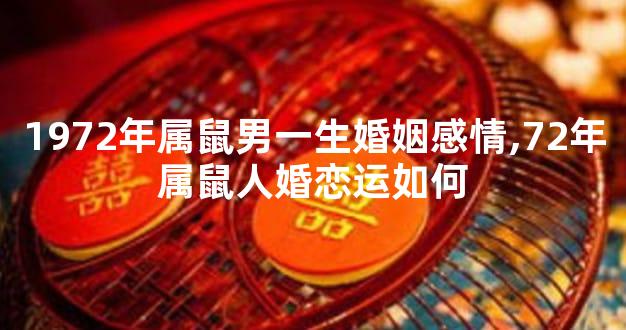 1972年属鼠男一生婚姻感情,72年属鼠人婚恋运如何