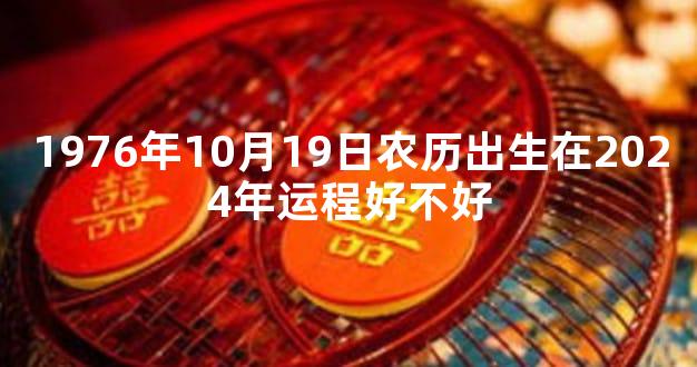 1976年10月19日农历出生在2024年运程好不好