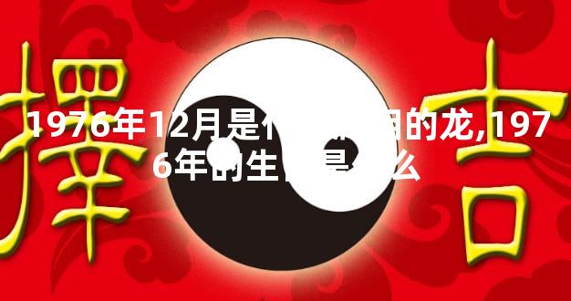 1976年12月是什么属相的龙,1976年的生肖是什么