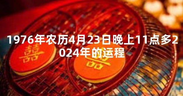 1976年农历4月23日晚上11点多2024年的运程