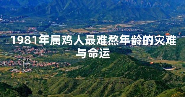 1981年属鸡人最难熬年龄的灾难与命运