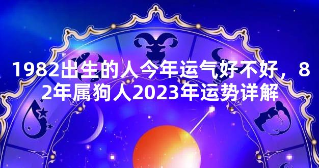 1982出生的人今年运气好不好，82年属狗人2023年运势详解