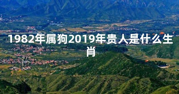 1982年属狗2019年贵人是什么生肖