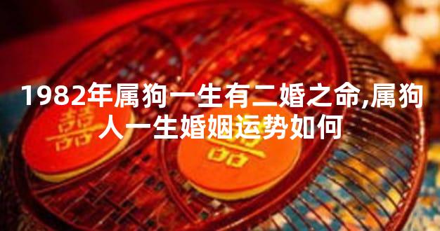 1982年属狗一生有二婚之命,属狗人一生婚姻运势如何
