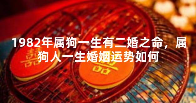 1982年属狗一生有二婚之命，属狗人一生婚姻运势如何