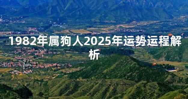 1982年属狗人2025年运势运程解析