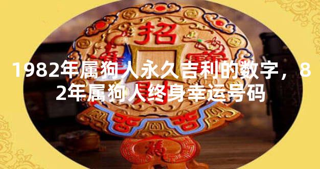 1982年属狗人永久吉利的数字，82年属狗人终身幸运号码