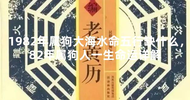 1982年属狗大海水命五行缺什么，82年属狗人一生命运详解