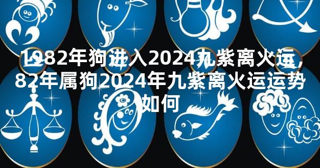 1982年狗进入2024九紫离火运，82年属狗2024年九紫离火运运势如何