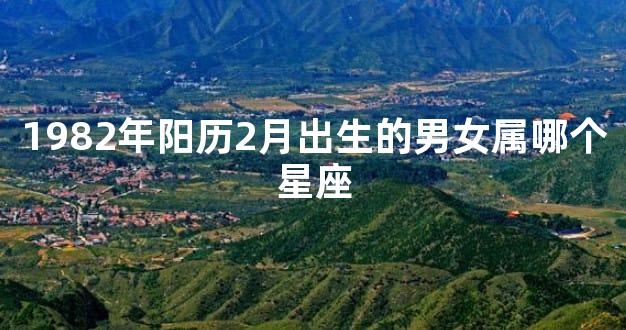 1982年阳历2月出生的男女属哪个星座