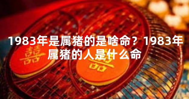 1983年是属猪的是啥命？1983年属猪的人是什么命