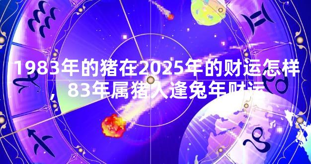 1983年的猪在2025年的财运怎样，83年属猪人逢兔年财运
