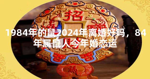 1984年的鼠2024年离婚好吗，84年属鼠人今年婚恋运