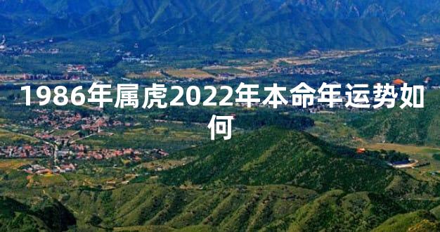 1986年属虎2022年本命年运势如何