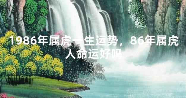 1986年属虎一生运势，86年属虎人命运好吗